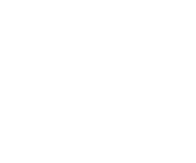 ICONI DIPOLMAT